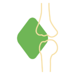 Das Bild zeigt einen Icon eines Knochens als Metapher des Knochenstoffwechsels.. Endokrinologie Düsseldorf Essen Mönchengladbach Bonn